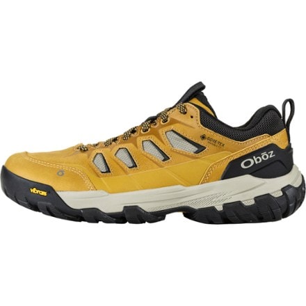 Oboz Sawtooth X Pro Low Waterproof Hiking Shoes - Men's 1
