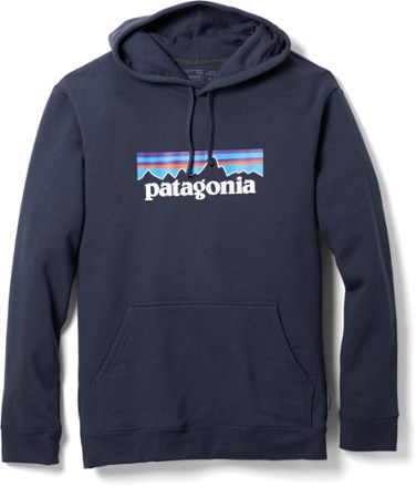 Patagonia discount pink hoodie