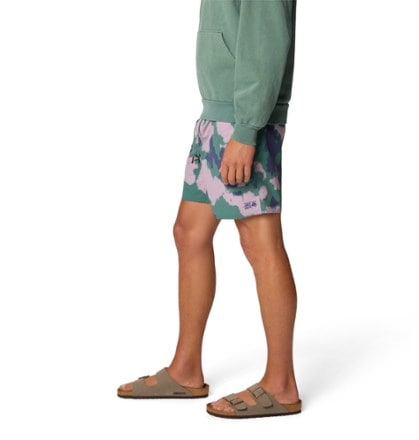 Mountain Hardwear Stryder 7" Swim Shorts - Men's 3