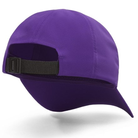 Arc'teryx Bird Word Cap 1