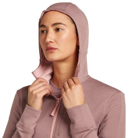 Icebreaker Merino 260 Quantum Long-Sleeve Zip Hoodie - Women's 4