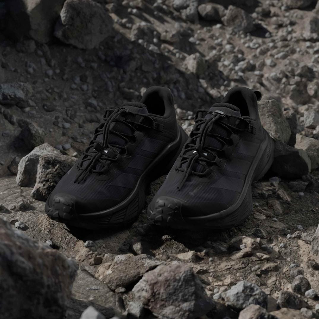 Location Image for Terrex Free Hiker SL GORE-TEX Hiking Shoes - Men's