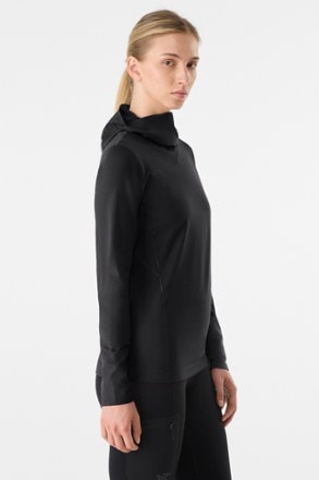 Arc'teryx Rho Hoody Base Layer Top - Women's 3