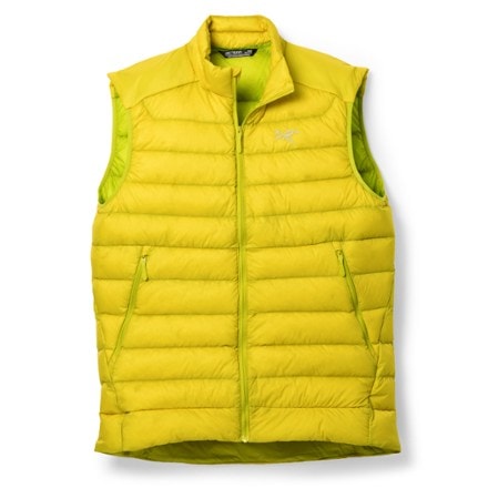 Arc'teryx Cerium Down Vest - Men's 0