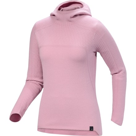 Arc'teryx Hallam Merino Wool Hoody - Women's 0