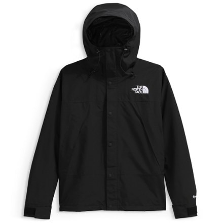 The North Face GORE-TEX Mountain Jacket - Men's 0