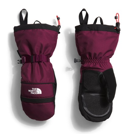 Montana Ski Mittens - Women's