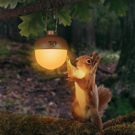Nite Ize Radiant NutLit Rechargeable Lantern 6