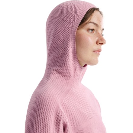 Arc'teryx Hallam Merino Wool Hoody - Women's 5