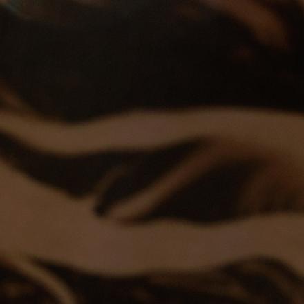 Swatch Image of color Porcini/Black Print