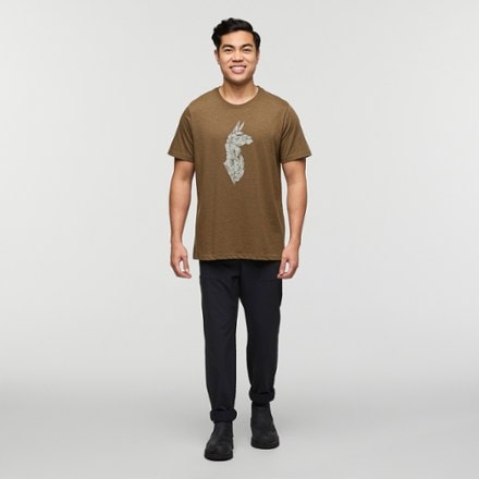 Cotopaxi Into the Pines T-Shirt - Men's 4