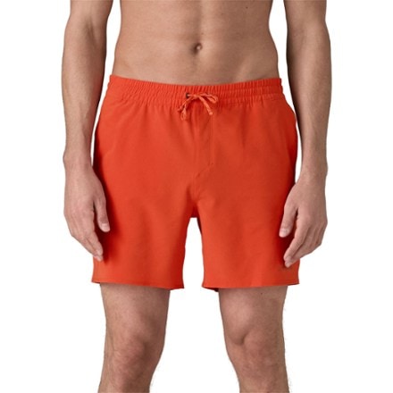 On Body Image of color Pollinator Orange