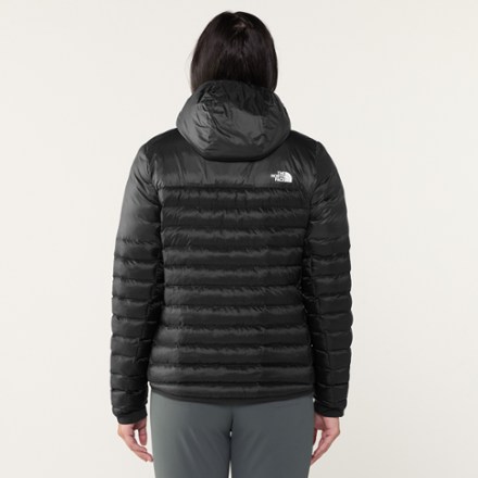 The North Face Terra Peak Insulated Hoodie - Women's 2