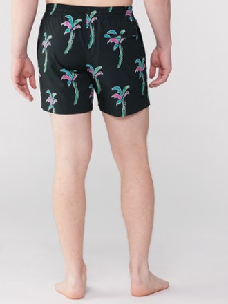 Chubbies Stretch 5.5" Lined Swim Trunks - Men's 2