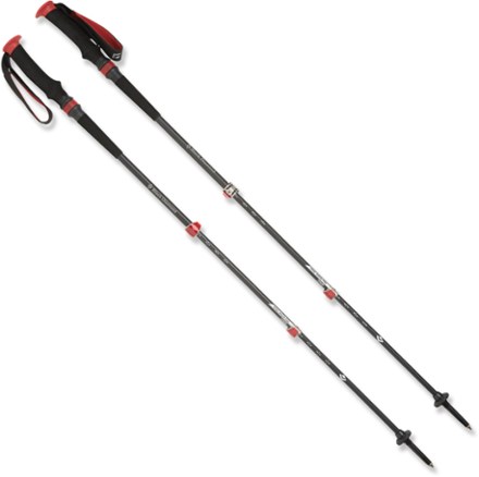 shock absorbing trekking pole