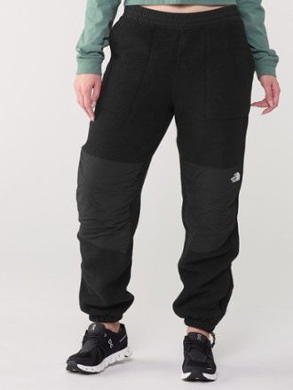 The North Face Retro Denali Pants - Women's 1