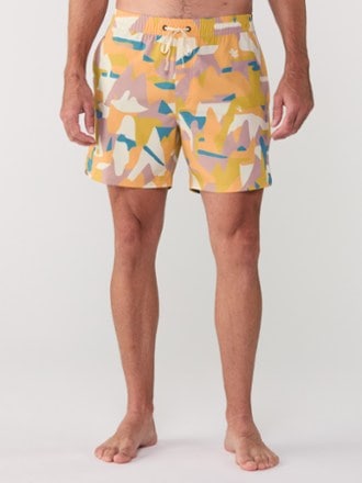 Picture Organic Clothing Piau 15" Volley Swim Shorts - Men's 1