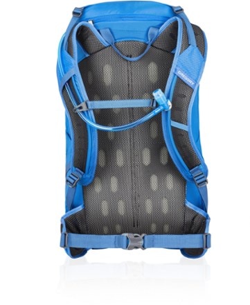 Gregory Inertia 25 Hydration Pack Back view (Estate Blue)