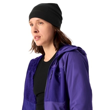 Arc'teryx Proton SL Hoody - Women's 7