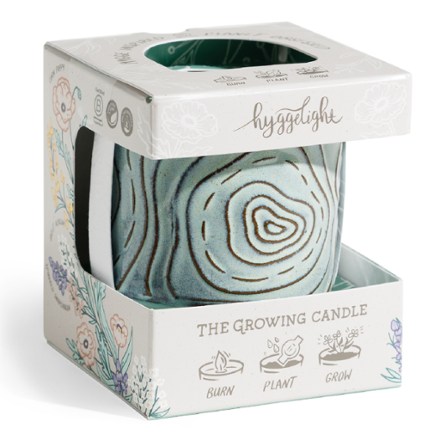 Hyggelight- The Growing Candle Topo Candle - Chai Scent 3
