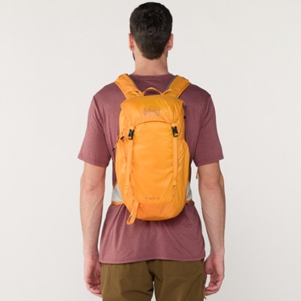 REI Co-op Flash 22 Pack 1