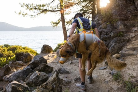 Ruffwear BackTrak Evacuation Kit 10