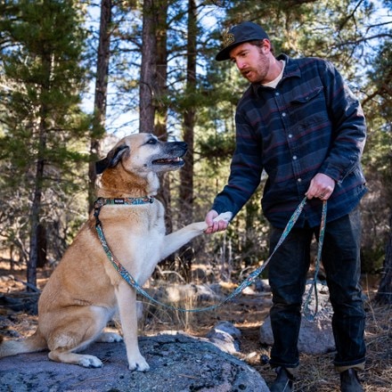 Dog Leashes REI Co op