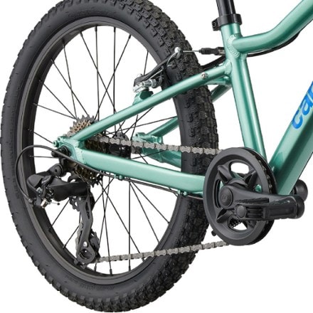 Cannondale Trail 20 Kids' Bike 4