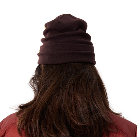 Arc'teryx Bird Word Toque 2