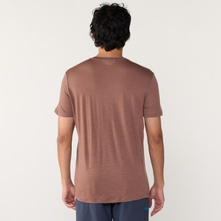 Icebreaker Merino 150 Tech Lite III T-Shirt - Men's 2