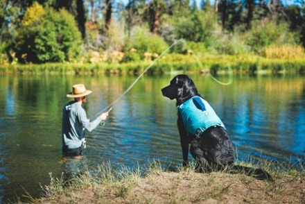 Ruffwear Confluence Life Jacket 4