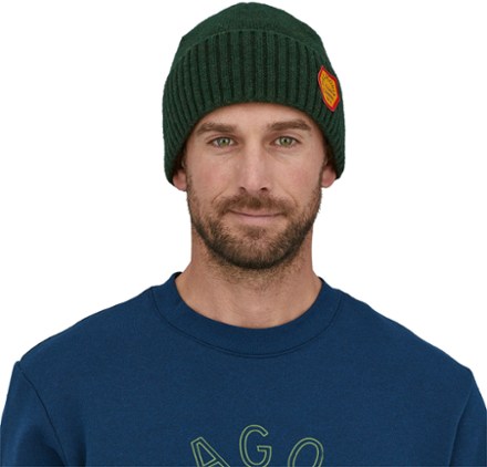 Patagonia best sale hat beanie