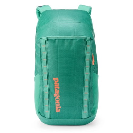 Patagonia Black Hole Pack - 32 L 2