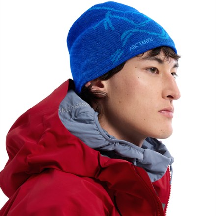 Arc'teryx Bird Head Toque Beanie 4