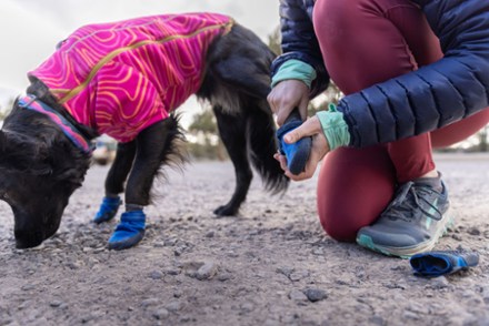 Rei adventure dog store boots