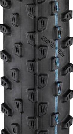 Schwalbe Racing Ray Super Ground Tire 1