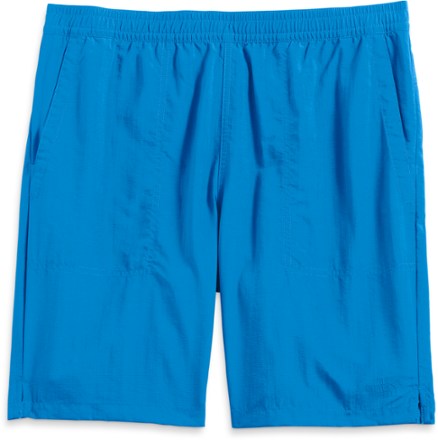 The North Face Men's Shorts: Sale, Clearance & Outlet | REI Co-op