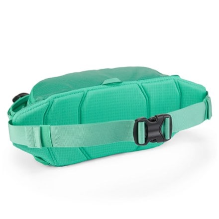 Patagonia Black Hole Waist Pack 5 L 1