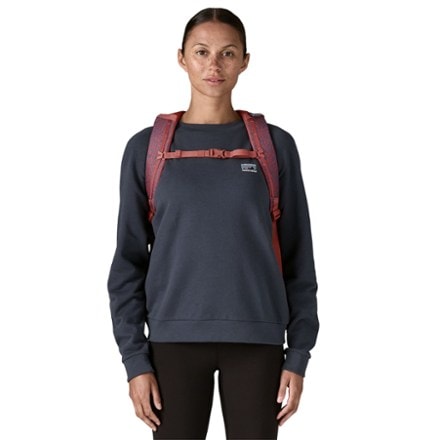 Patagonia Atom 24 L Pack 4