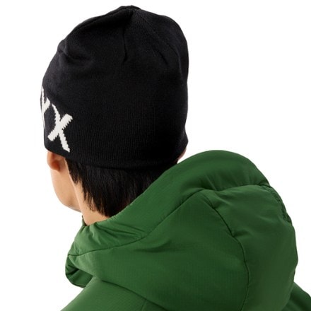 Arc'teryx Word Head Toque 2