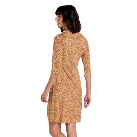 Toad&Co Rosalinda Dress 1