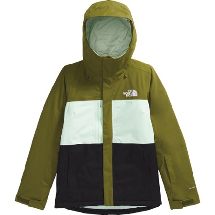 The North Face Freedom Insulated Jacket - Women's 0