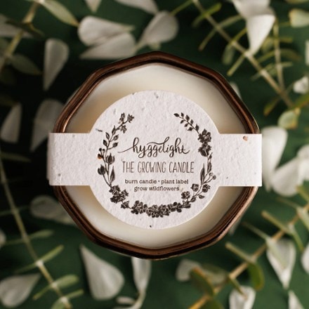 Hyggelight- The Growing Candle Astrid Candle - Chai Scent 2