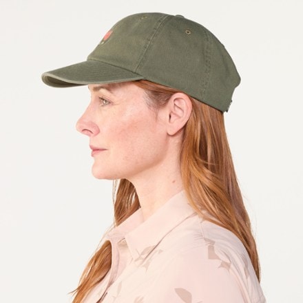 REI Co-op Everyday Graphic Cap 1