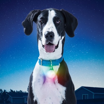 Nite Ize SpotLit XL Rechargeable Collar Light - Disc-O Select 7