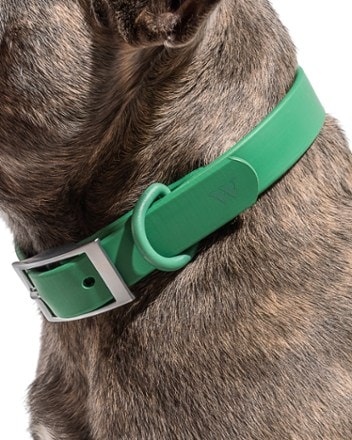 Wild One Waterproof Dog Collar 3