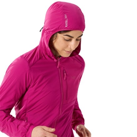 Arc'teryx Proton Lightweight Insulated Hoodie - Women's 6