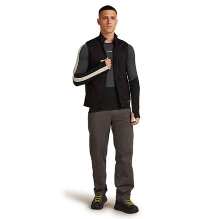 Icebreaker Merino 200 Oasis Long-Sleeve Crewe Base Layer Top - Men's 7