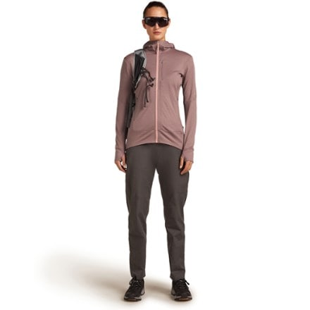 Icebreaker Merino 260 Quantum Long-Sleeve Zip Hoodie - Women's 2