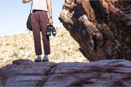 Location Image of color Fig